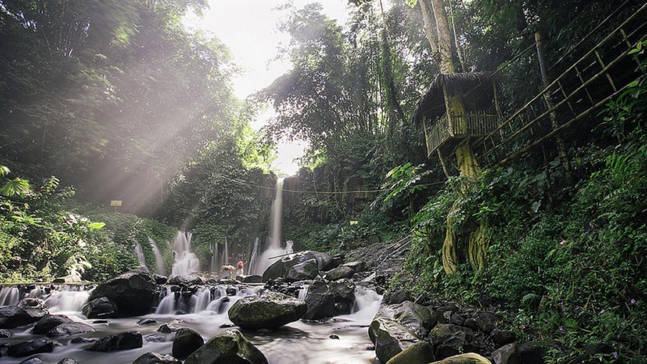 Jelajahi Wisata Desa BMJ Mojopahit: Sejarah, Budaya, dan Keindahan Alam